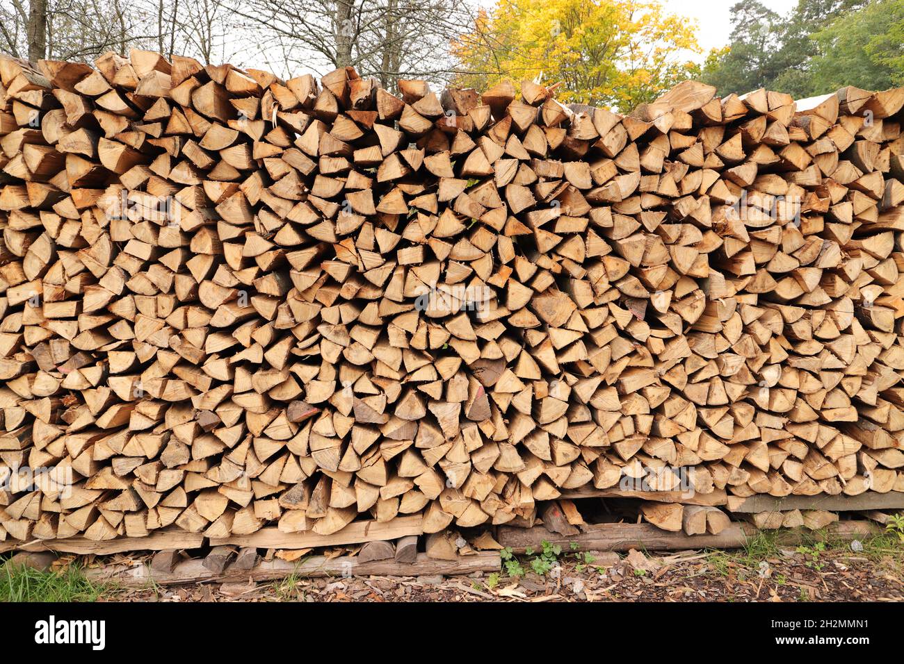 molti legno spaccato come legna da ardere Foto Stock