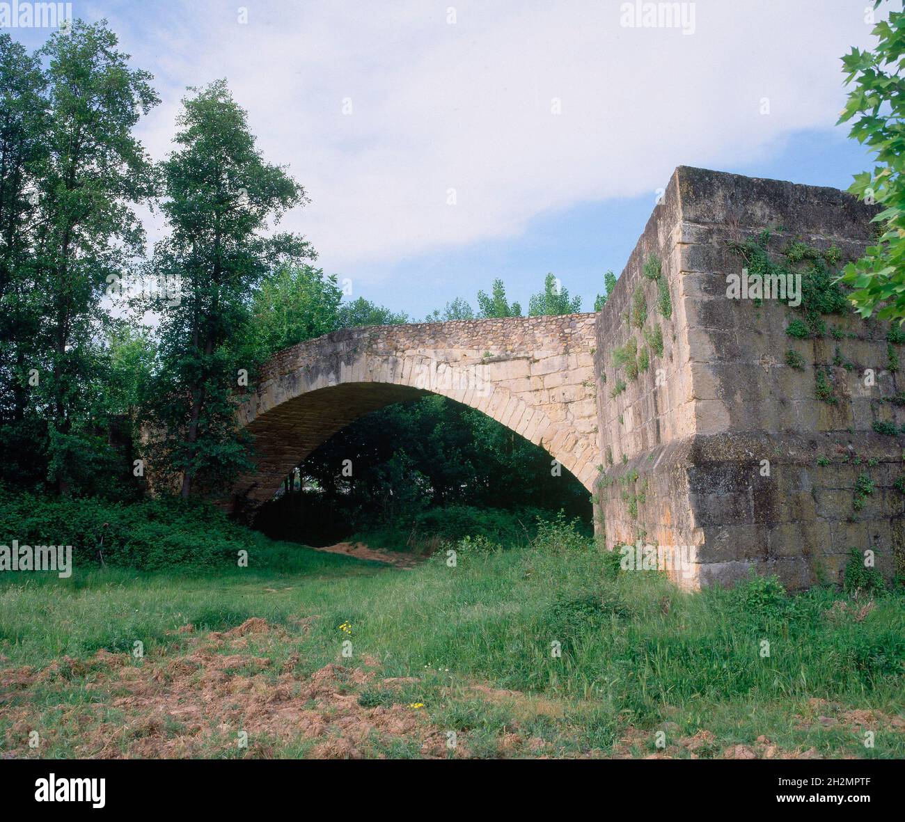 PUENTE ROMANO DE TALAMANCA DEL JARAMA - DETALLE. Ubicazione: ESTERNO. TALAMANCA DEL JARAMA. MADRID. SPAGNA. Foto Stock