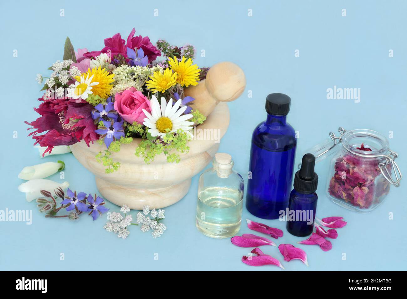 Erbe curative e fiori per rimedi alternativi di medicina delle piante di erbe con bottiglie di olio essenziale di aromaterapia. Natura salute e benessere concetto. Foto Stock