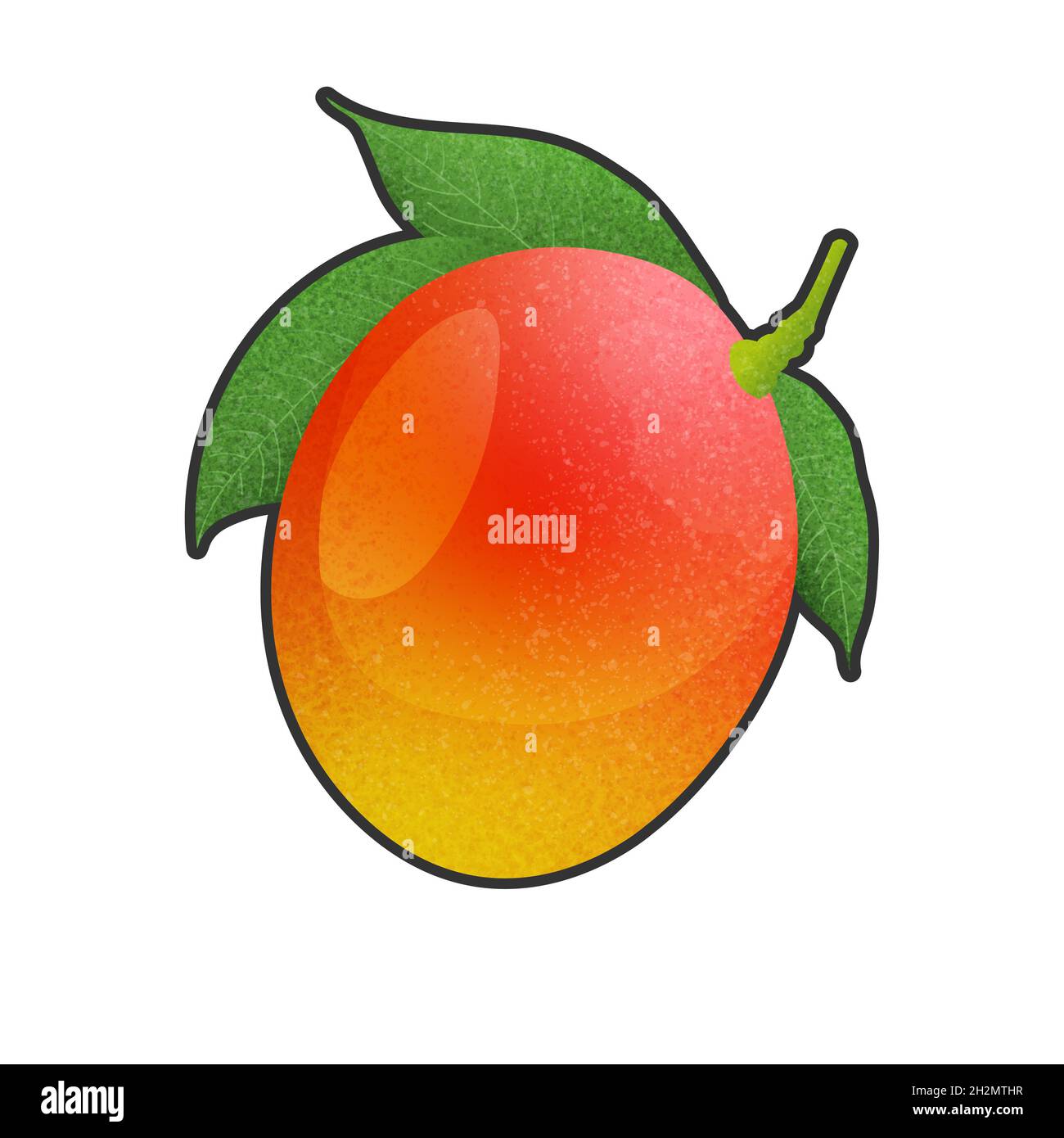mango in colori luminosi isolati su sfondo bianco, realizzati in vettoriale Foto Stock