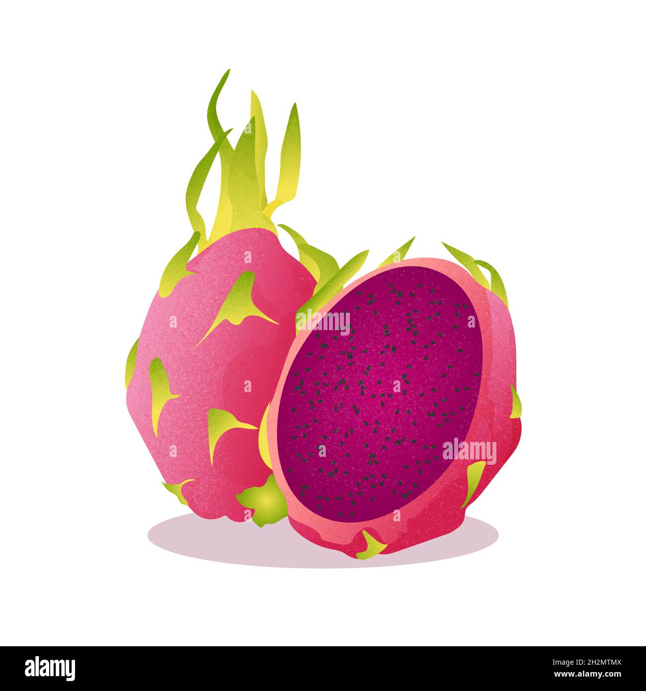 dragon fruit su sfondo bianco dai colori brillanti, realizzato in vector Foto Stock