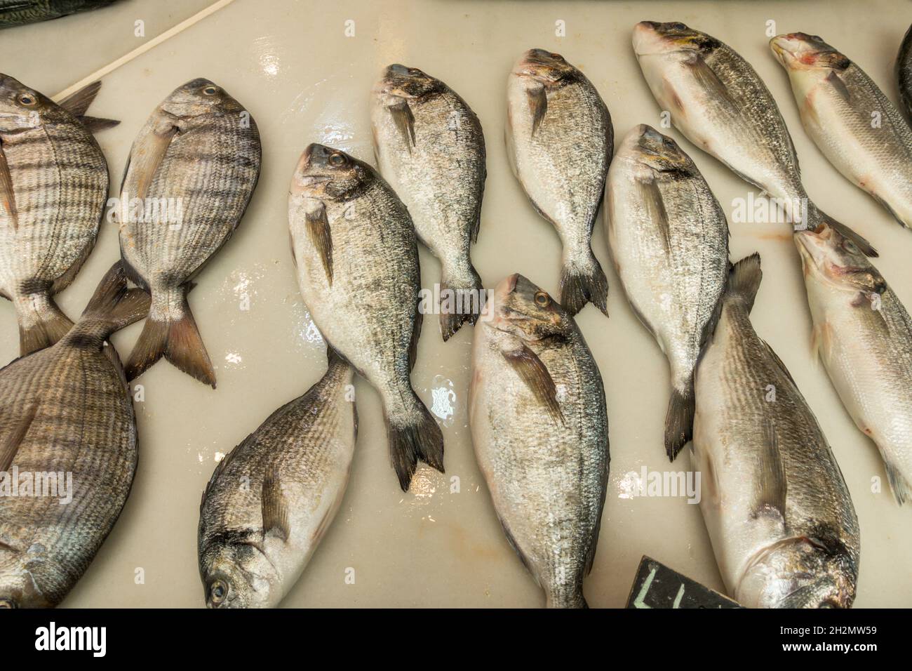 Pesce fresco in mostra al mercato coperto Atarazanas, frutti di mare a Malaga, Andalusia, Spagna. Foto Stock