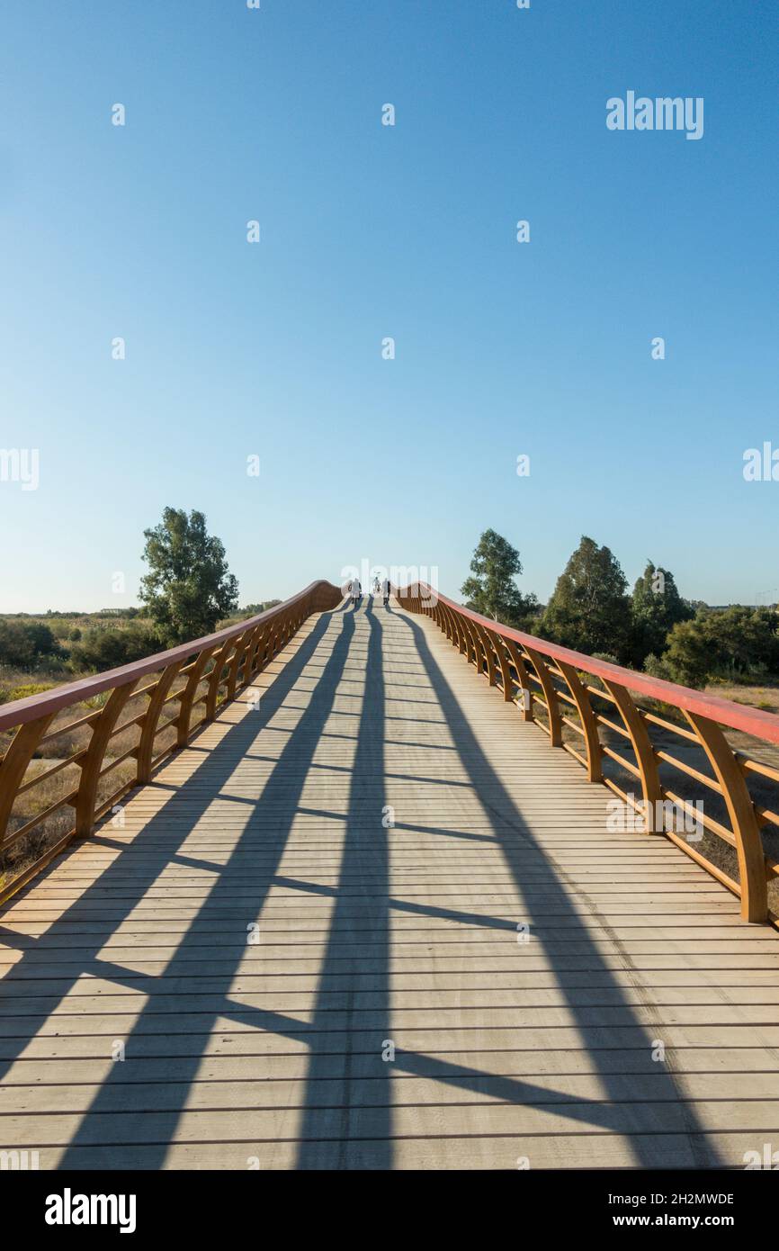Senda Litoral, passerella in legno, passerella, nella riserva naturale di Guadalhorce, che collega le spiagge della Costa del Sol, Malaga, Andalusia, Spagna. Foto Stock