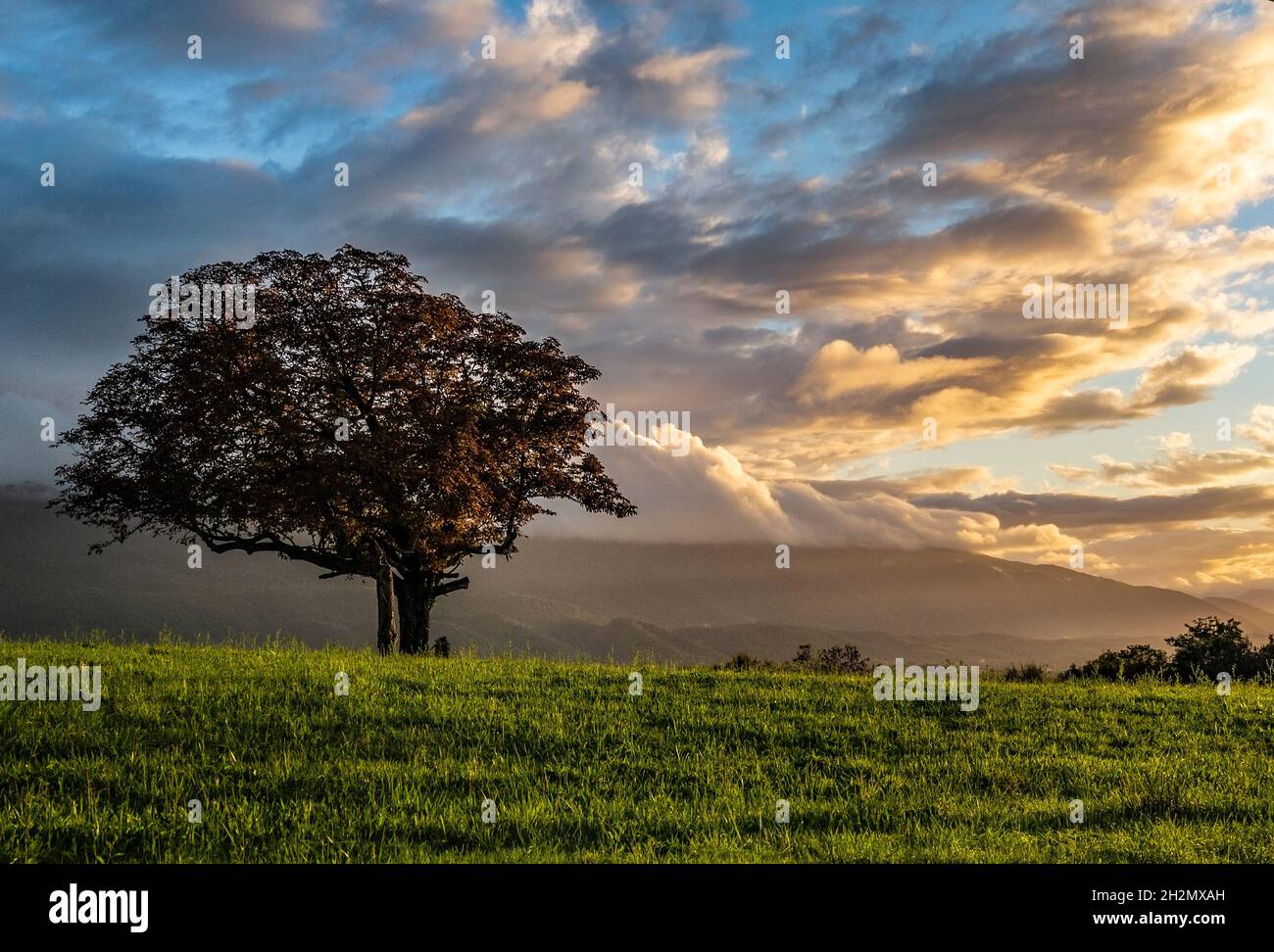 La sera si apre su un autunno tempestoso nella valle di Ossau vicino a Buzy e la sua Table d'Ossau, un ex allevamento di pecore visto dalla Route de Bélair Foto Stock La sera si apre su un autunno tempestoso nella valle di Ossau vicino a Buzy e la sua Table d'Ossau, un ex allevamento di pecore visto dalla Route de Bélair Foto Stock