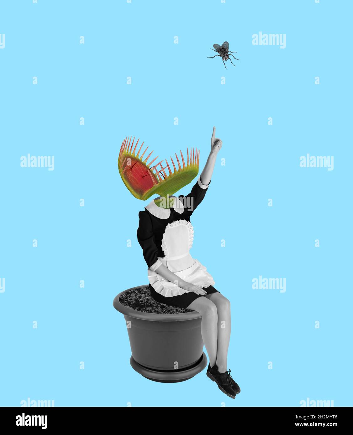 Collage d'arte contemporanea di donna, cameriera con testa di fiori di dionea isolato su sfondo blu Foto Stock