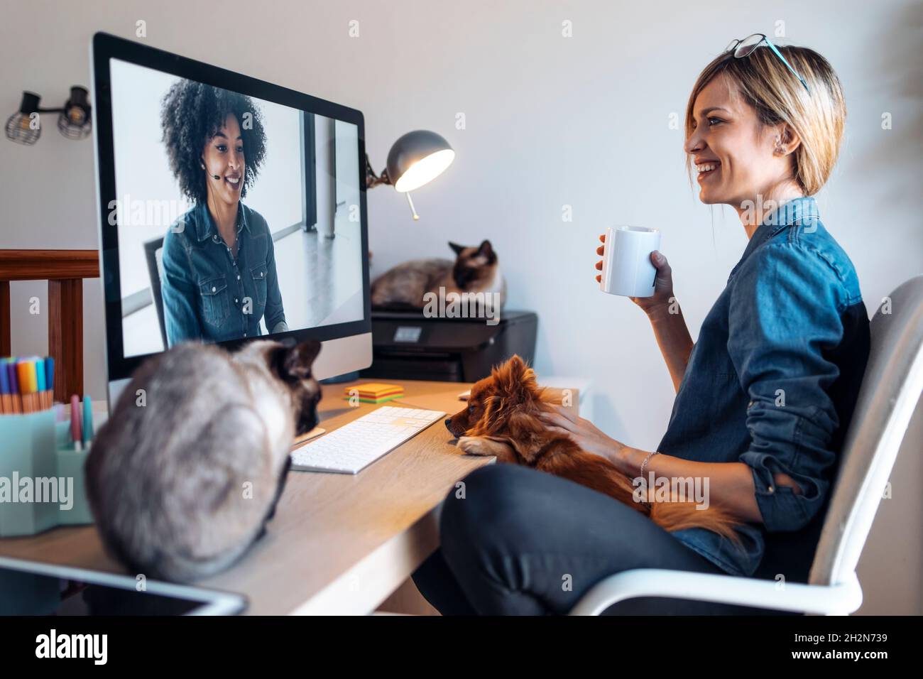 Sorridente influencer femminile discutere con la donna mentre stroking cane a casa Foto Stock