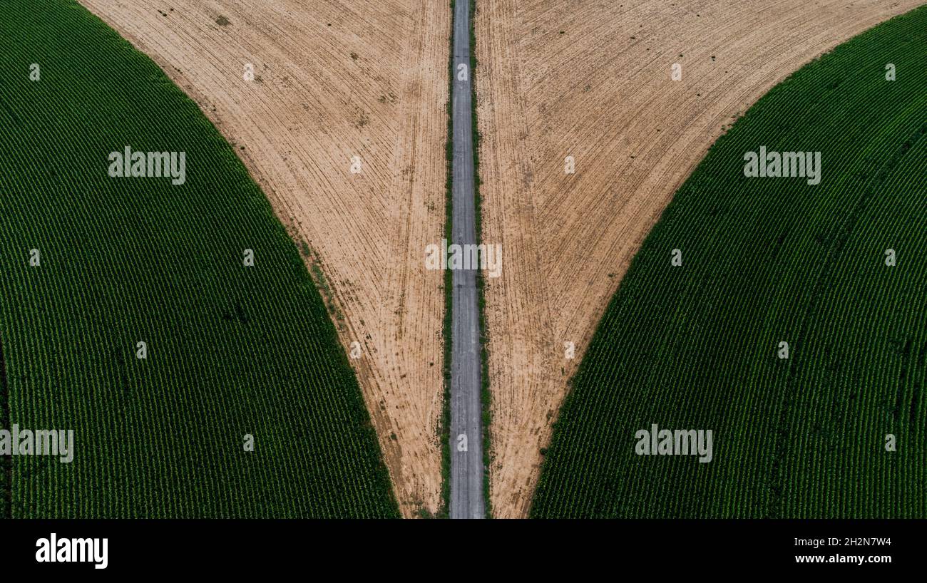 Vista aerea della campagna autostrada che si estende tra campi verdi di mais Foto Stock