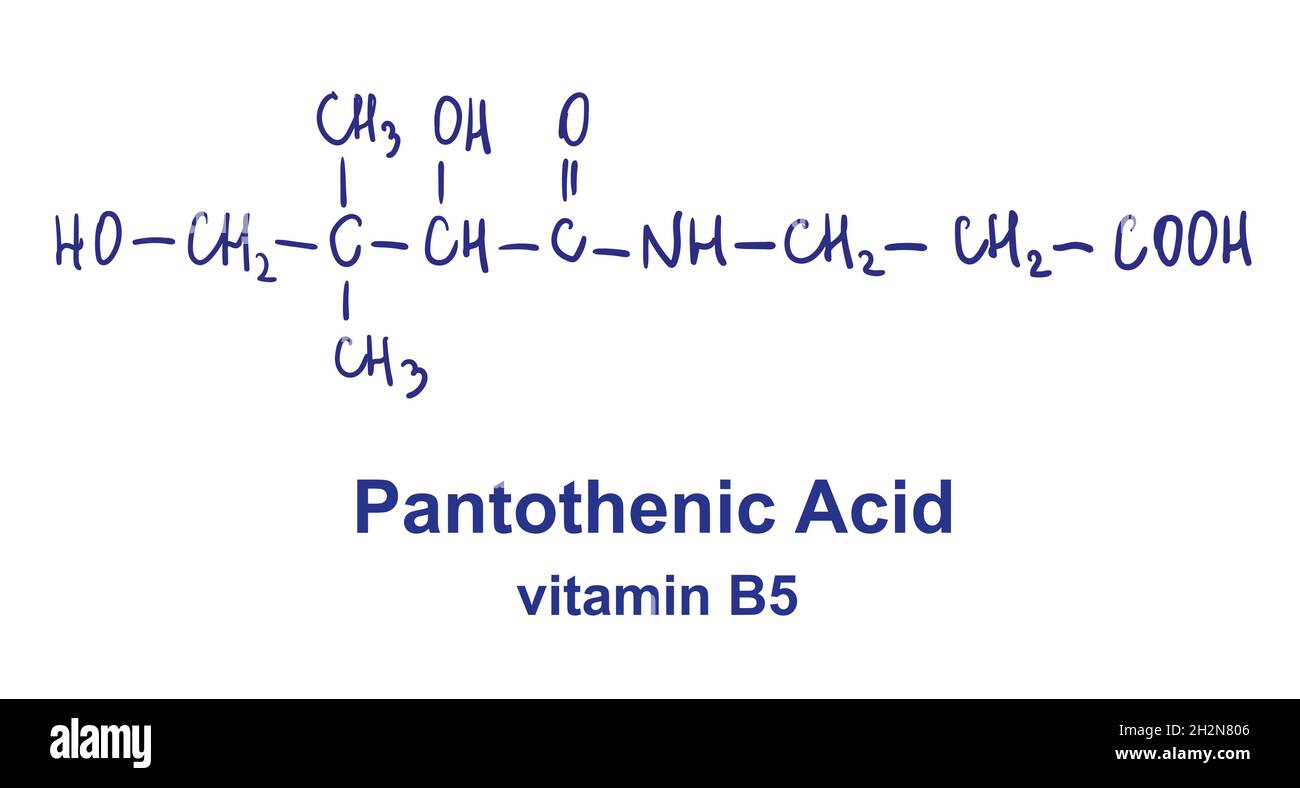 Struttura chimica dell'acido pantotenico. Illustrazione vettoriale disegnata a mano. Illustrazione Vettoriale