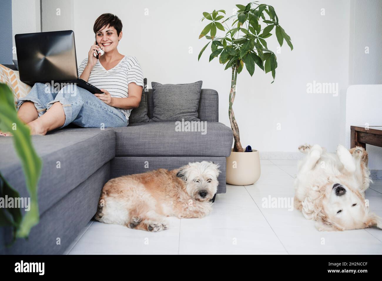 Donna d'affari che parla sullo smartphone mentre i cani giocano a casa Foto Stock