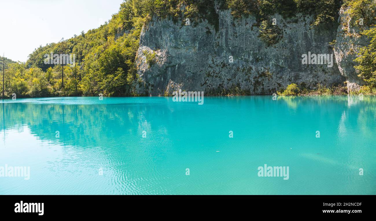 Ritratto di anatra nuoto nel lago Foto Stock