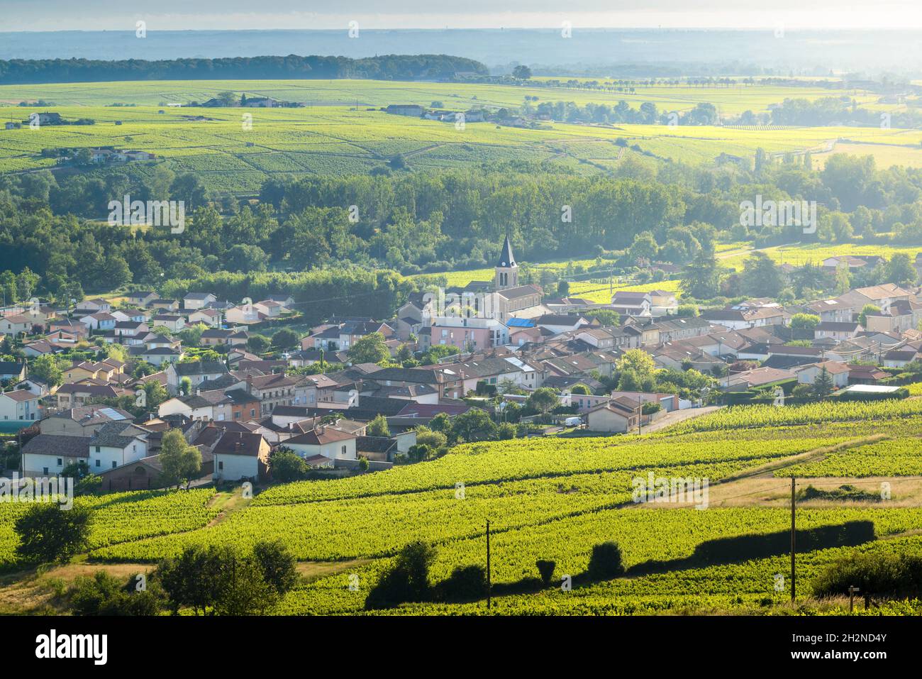 Le village de Cercié au Lever du jour, Beaujolais, Francia Foto Stock