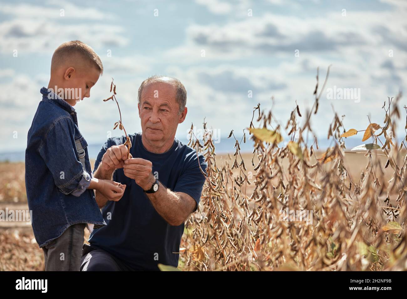 Nonno che dà cialda di soia al nipote in fattoria il giorno di sole Foto Stock