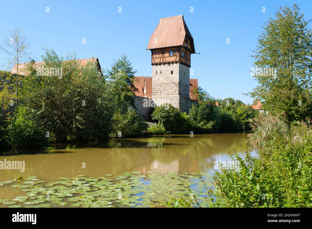 Germania, Baviera, Dinkelsbuhl, fiume Wornitz in estate con la Torre Bauerlin sullo sfondo Foto Stock