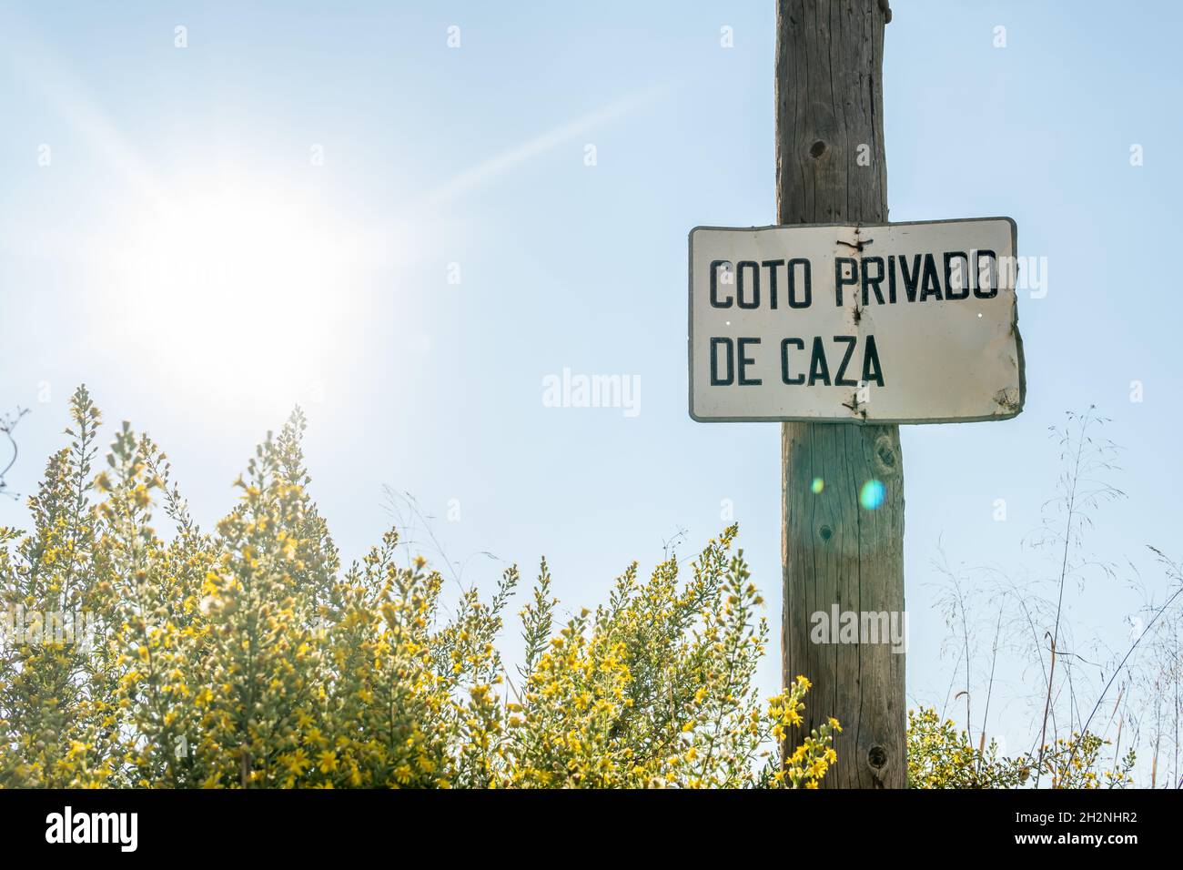 Primo piano di un cartello in metallo della riserva di caccia privata su un palo di legno, scritto in lingua spagnola. Campo rurale pieno di Genista al tramonto Foto Stock