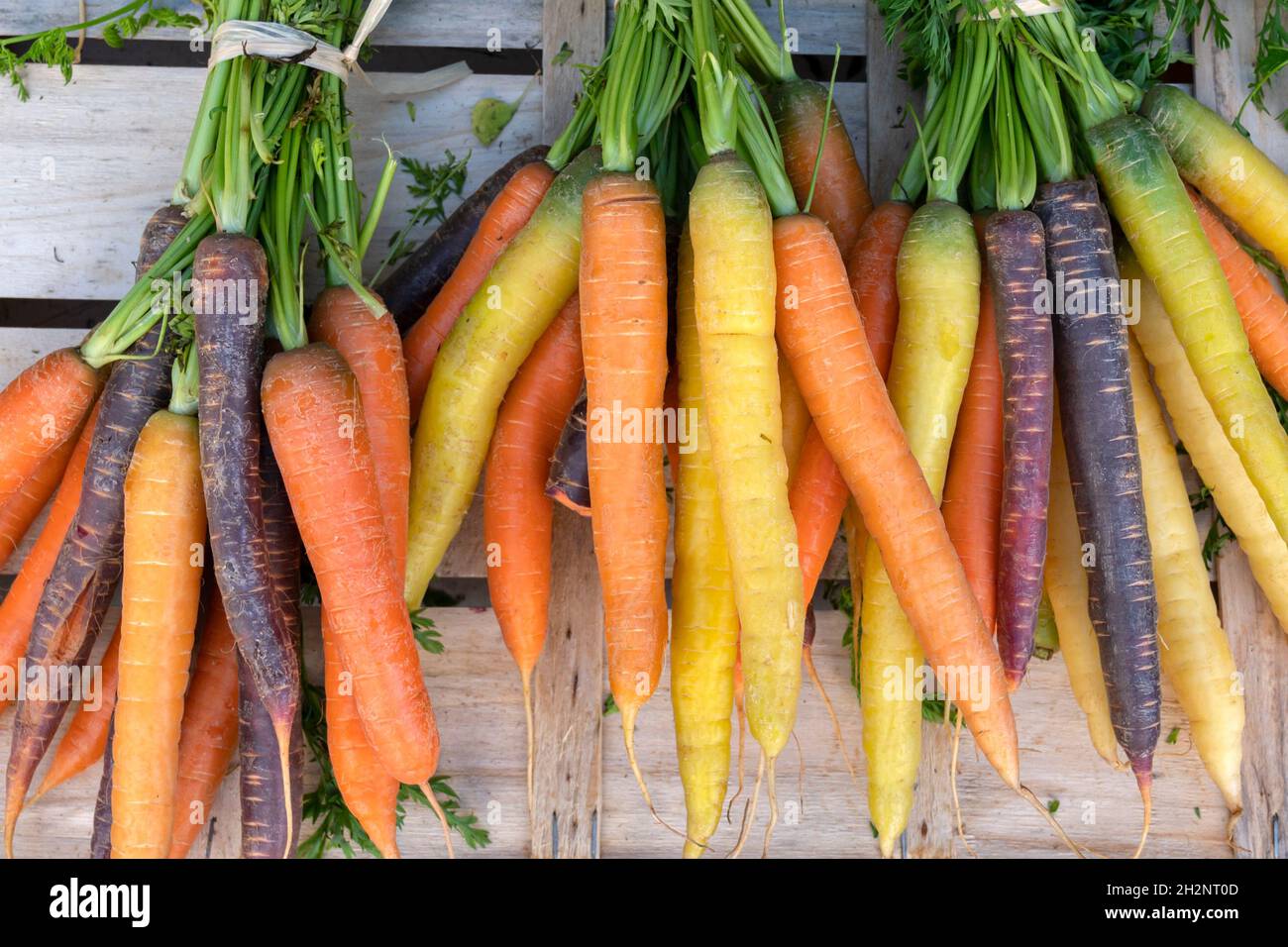 Grappoli Di Carote Fresche Nel Mercato Allaperto - Fotografie stock e altre  immagini di Carota - Carota, Cibo biologico, Arancione - iStock