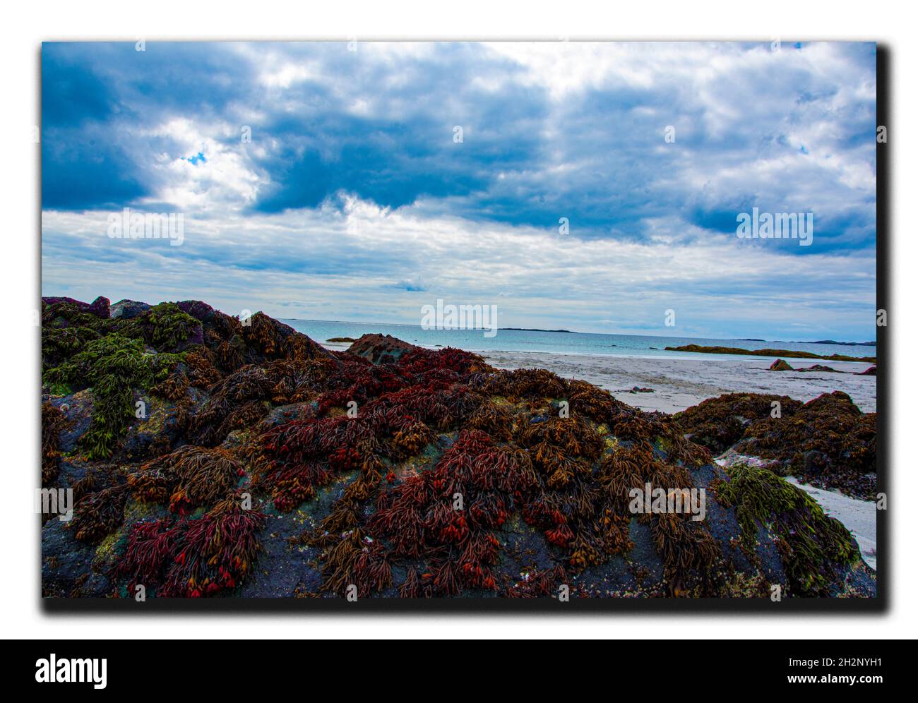 Una selezione di immagini scattate nella regione di Connemara della Contea di Galway, paesaggi d'Irlanda e la Wild Atlantic Way. Foto Stock