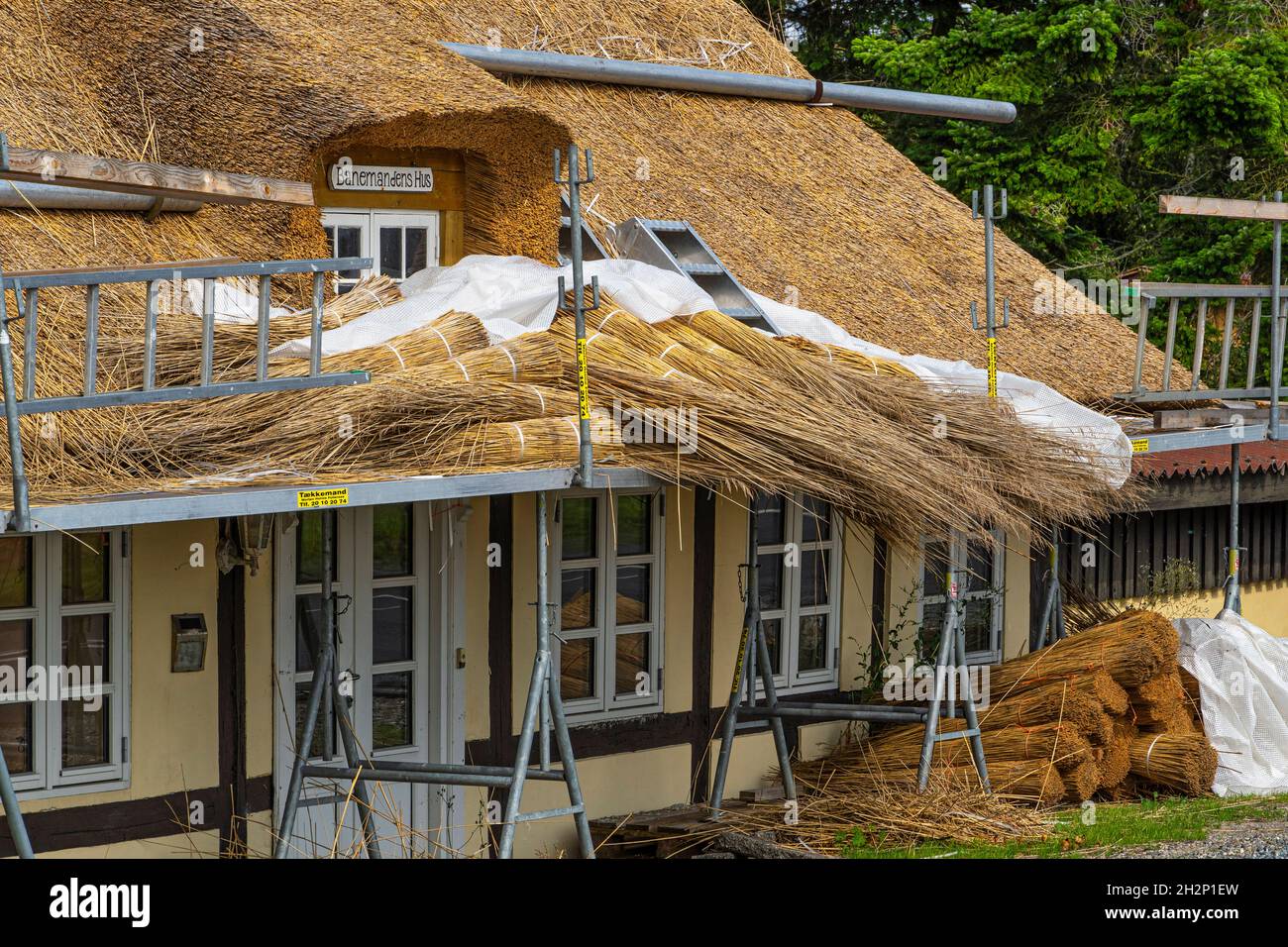 Tipica casa danese gialla. Tradizionale riparazione e costruzione del tetto con paglia e legno. Danimarca, Europa Foto Stock