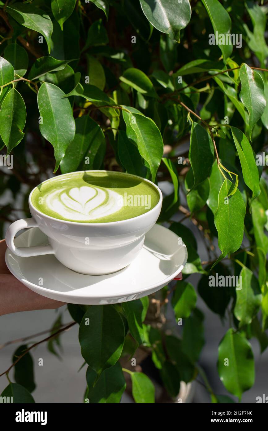 Tazza di latte matcha. Foto di alta qualità. Matcha, latte di tè verde in una tazza. Sfondo verde delle foglie. Primo piano. Vista dall'alto. Foto Stock