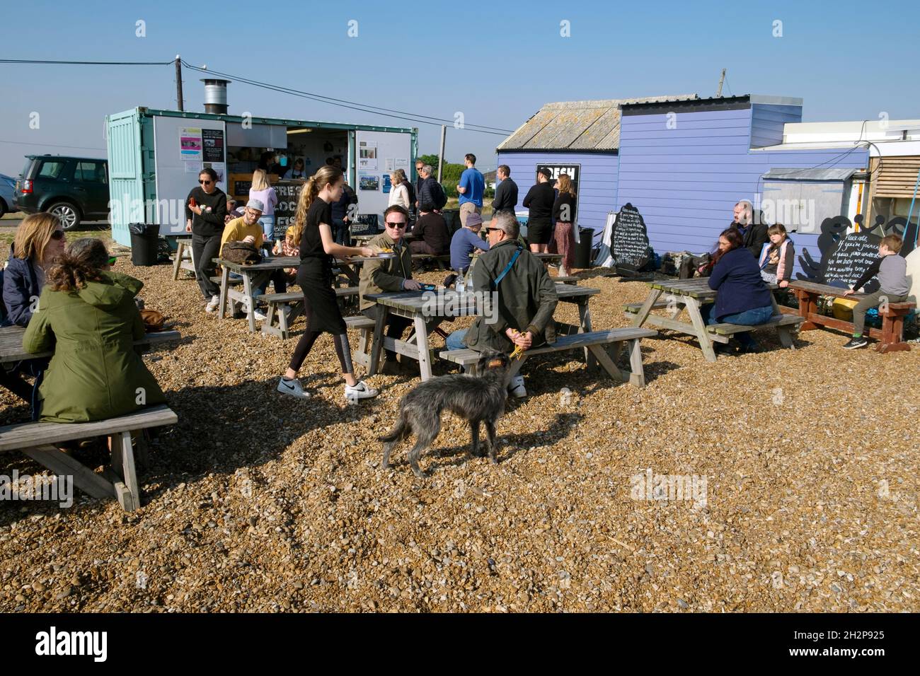 Teen girl working sering people customers sitting at outside tables Dungeness snack Shack Fresh local fish capanna in Kent Inghilterra UK KATHY DEWITT Foto Stock