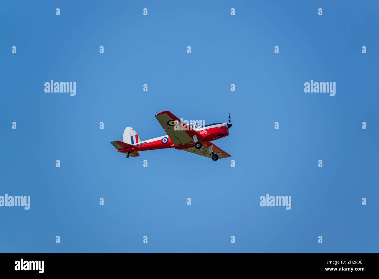 A 1951 De Havilland DHC-1 Chipmunk WD363 22 C-N C1-0304 vola basso in alto in un cielo blu profondo autunno Foto Stock