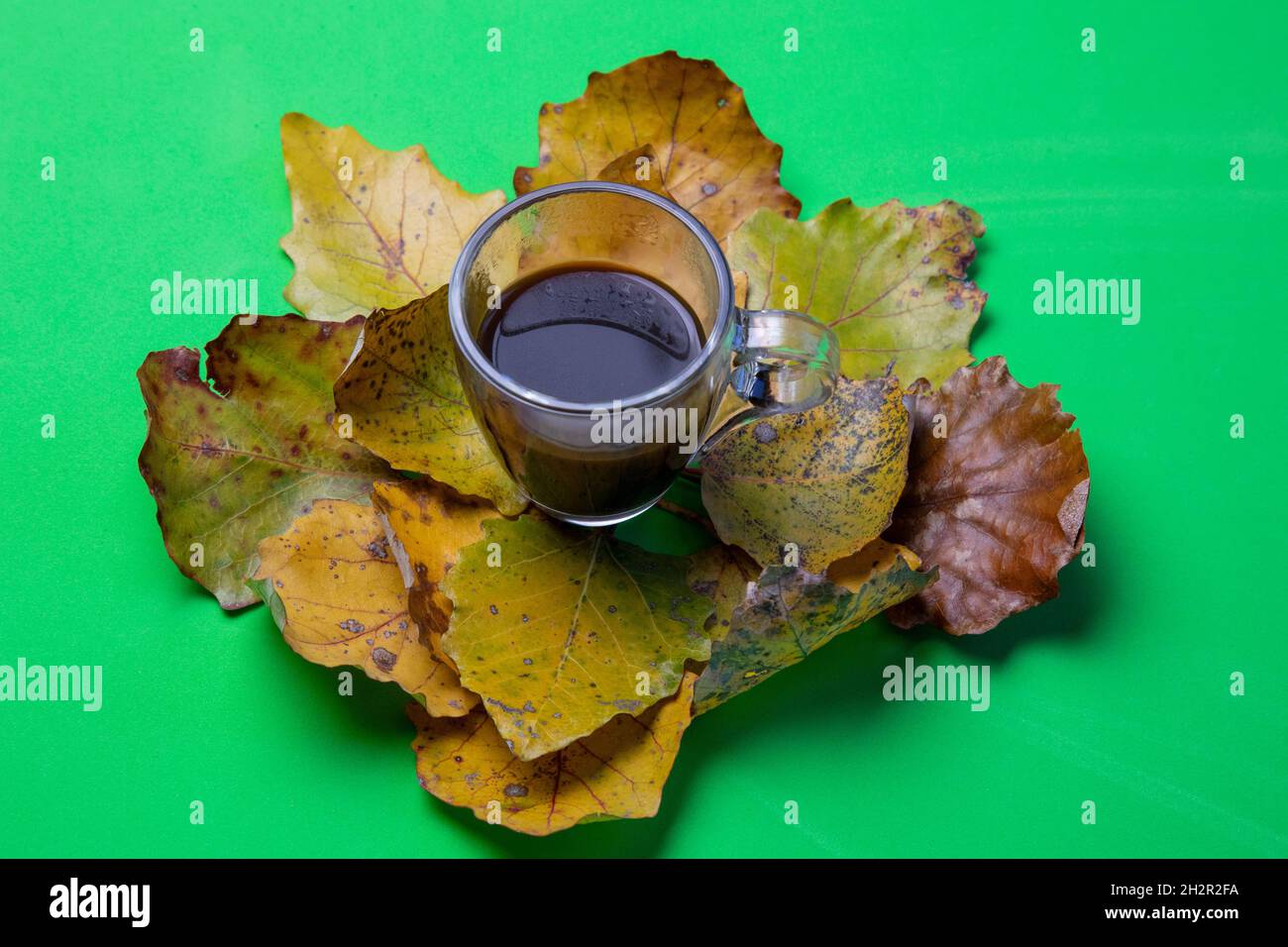 caffè in una tazza di vetro, decorato con foglie di pioppo giallo autunno su sfondo verde Foto Stock