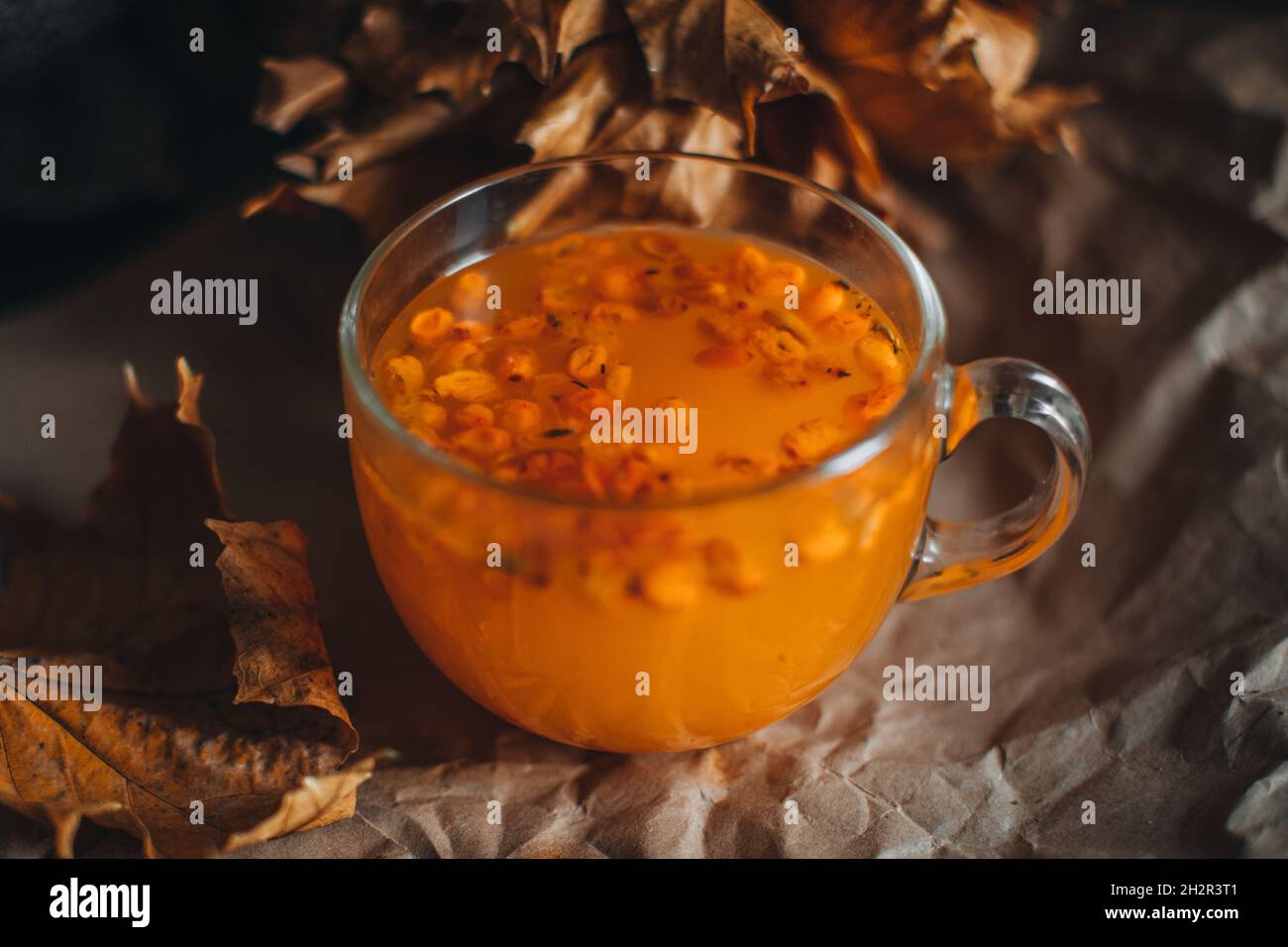 Primo piano grande tazza di caldo arancio mare buckhorn tè in una casa accogliente autunno sera ancora vita con foglie secche. Foto Stock