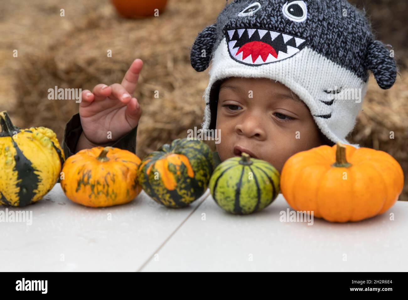 Detroit, Michigan, Stati Uniti. 23 ottobre 2021. Un pre-Halloween ottobre Fest nel quartiere Morningside ha offerto pittura di zucca e altre attività per i bambini. Credit: Jim West/Alamy Live News Foto Stock