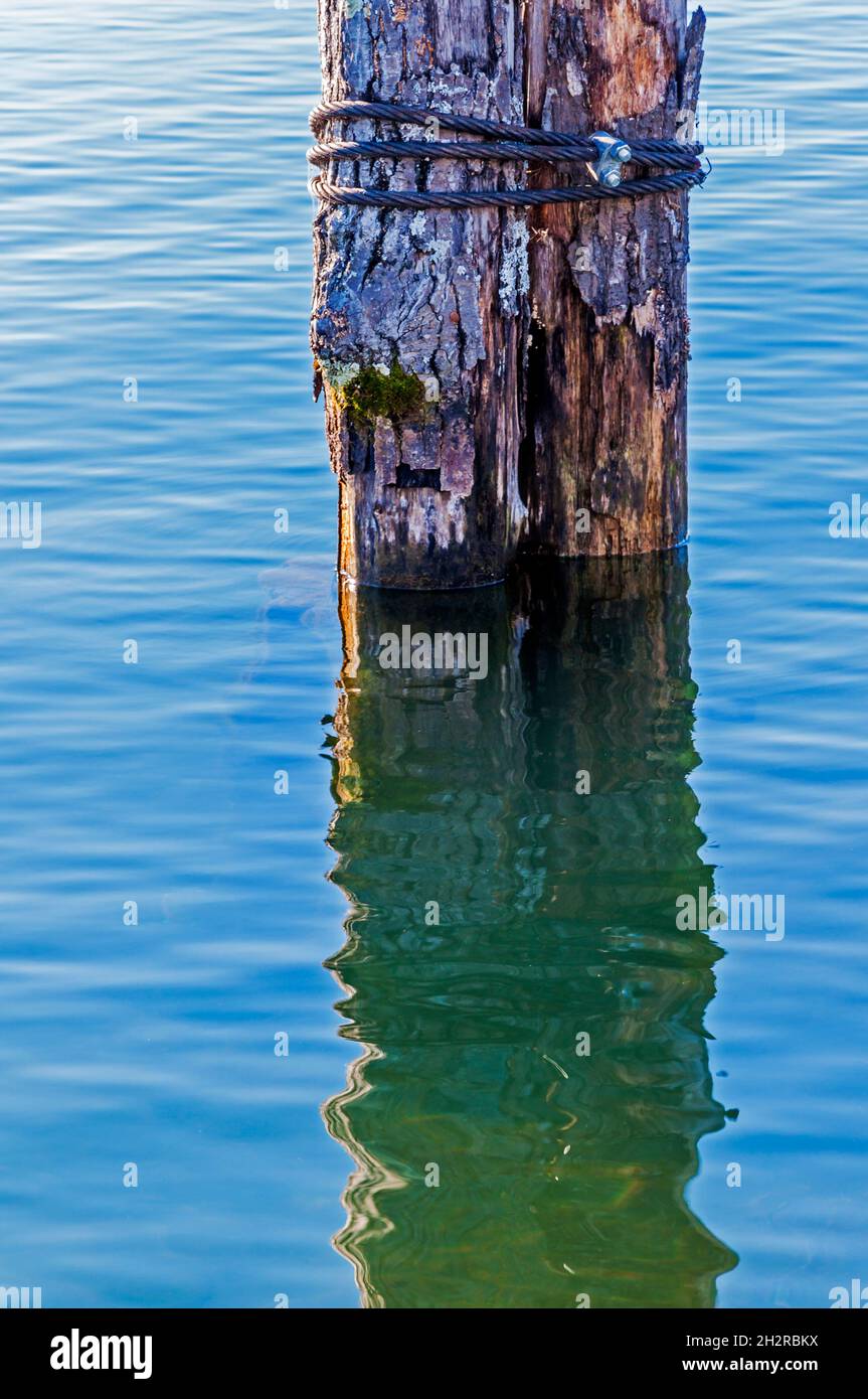 Riflesso del Dock Post Foto Stock