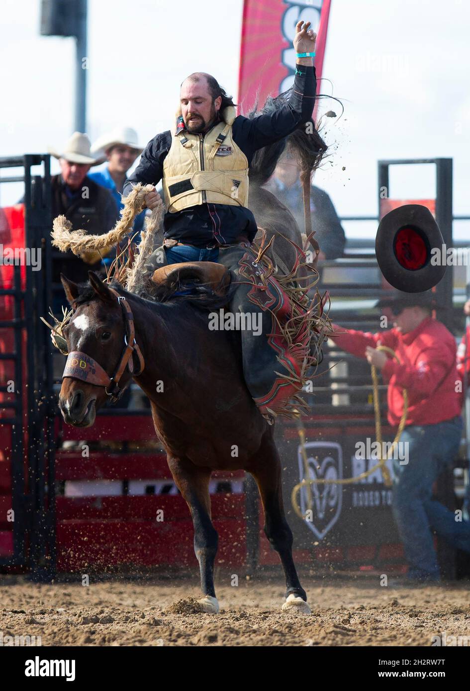 Orangeville, Canada. 23 ottobre 2021. Un cowboy compete durante le finali del campionato RAM Rodeo Tour 2021 a Orangeville, Ontario, Canada, il 23 ottobre 2021. Credit: Zou Zheng/Xinhua/Alamy Live News Foto Stock