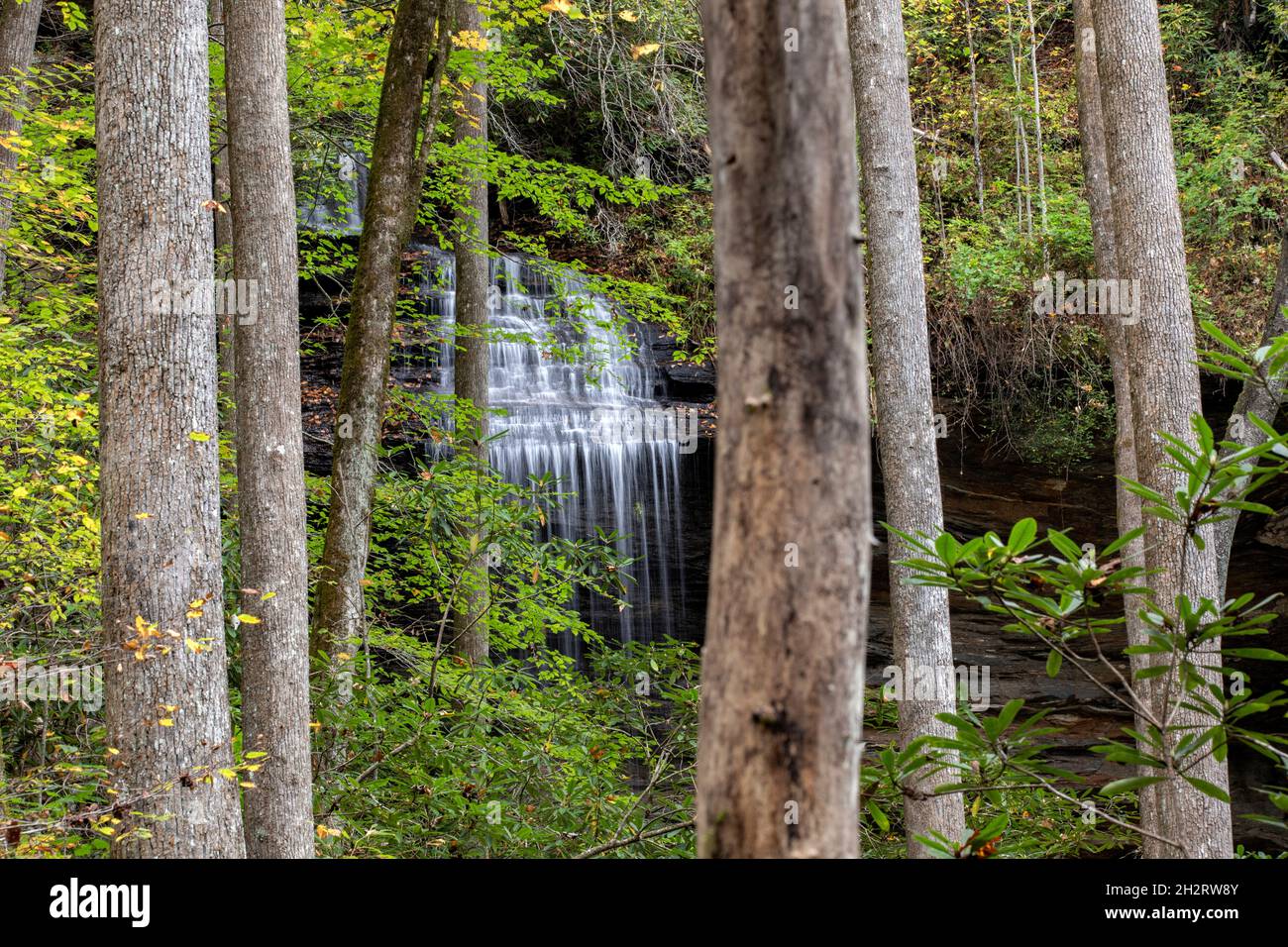 Cascate di Moore Cove incorniciate dalla foresta - Pisgah National Forest, Brevard, Carolina del Nord, USA Foto Stock