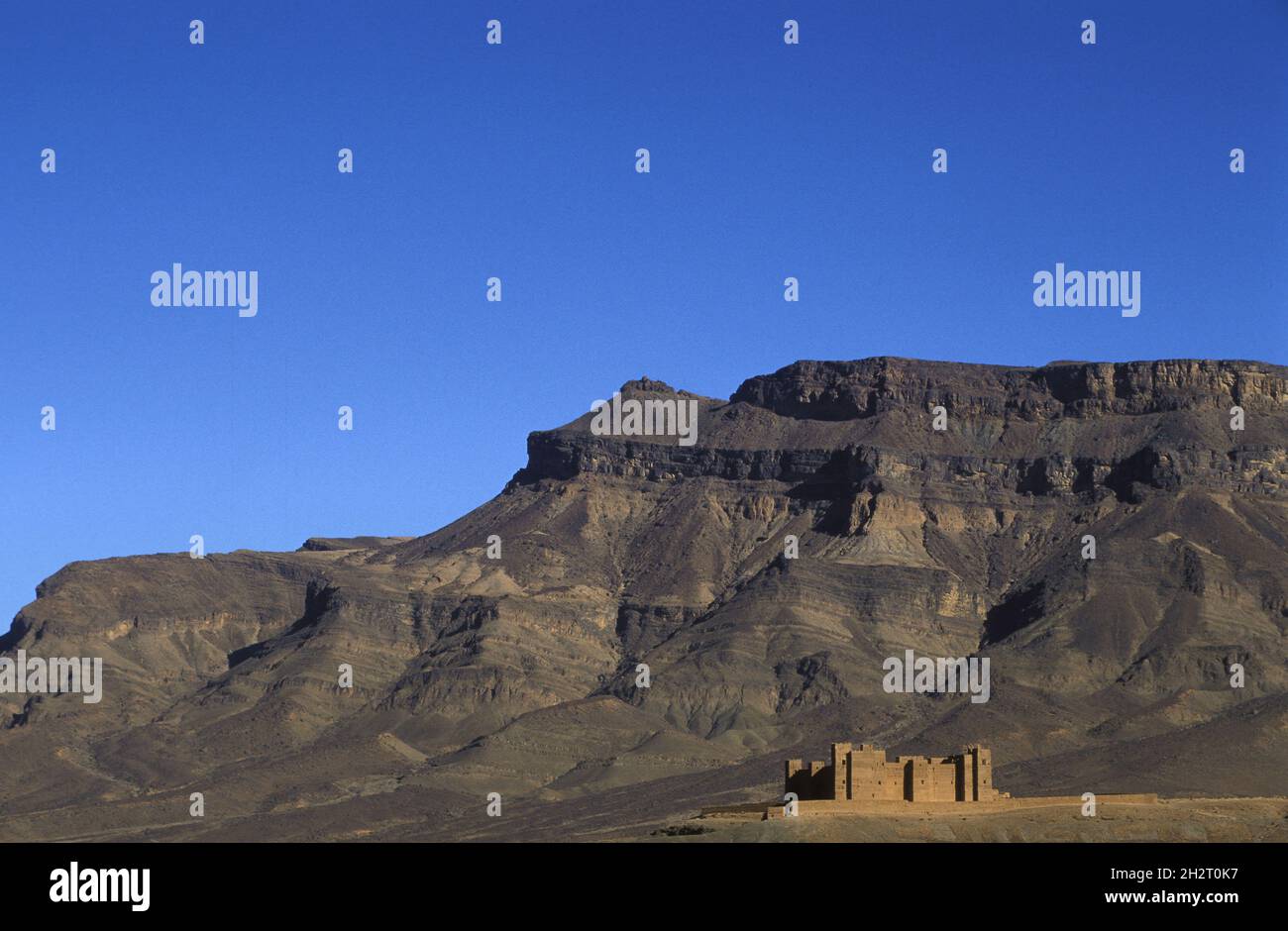 MAROCCO. VALLE DI DRAA. TAMNOUGALT Foto Stock