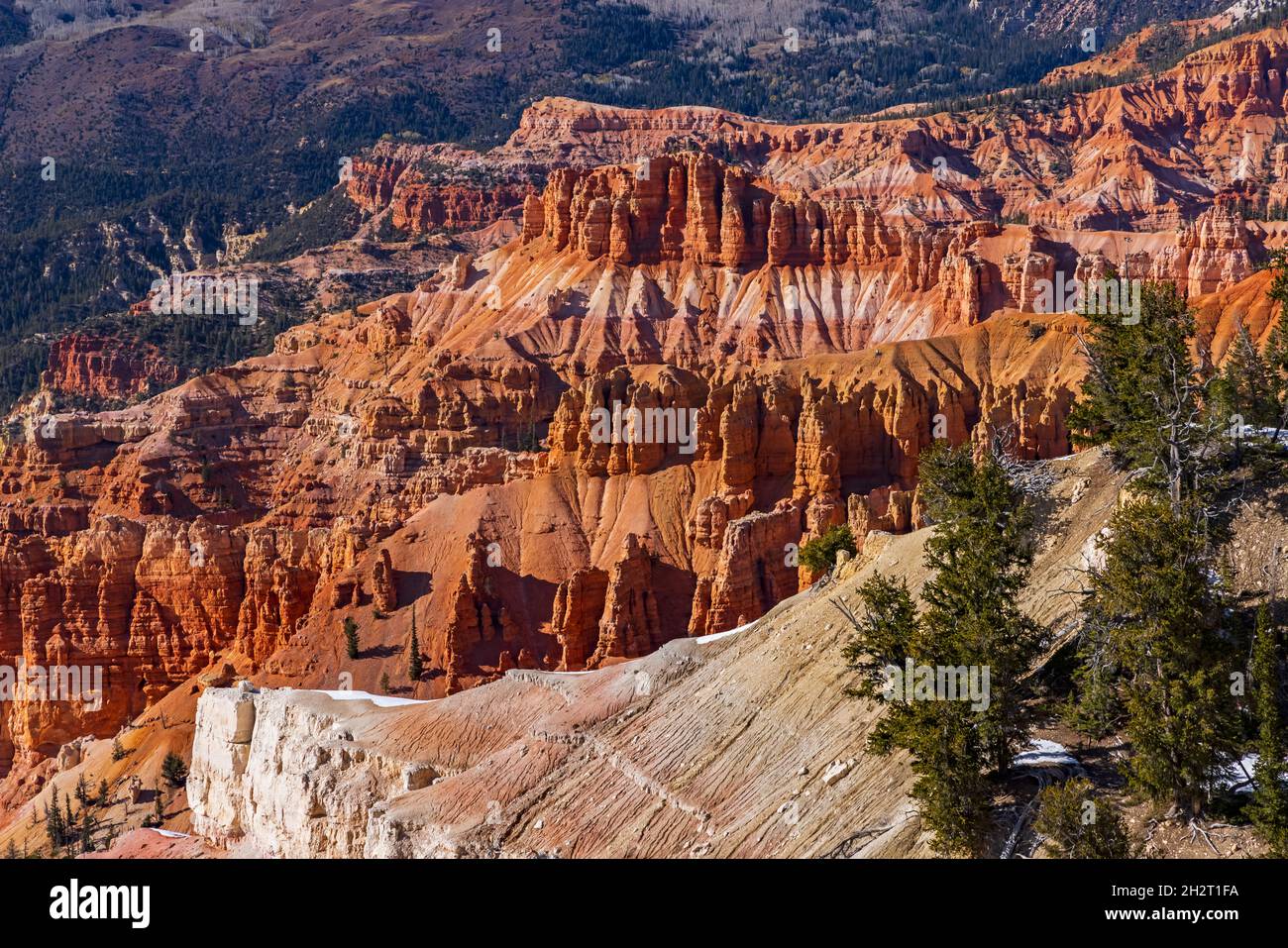 Si tratta di una vista delle spettacolari formazioni rocciose rosse di arenaria al Cedar Breaks National Monument vicino a Brian Head, Utah, USA. Foto Stock