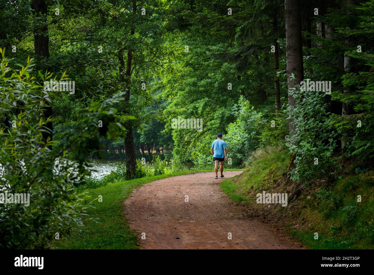 Promenade, Sentiers, activités au Lac des Sapins, Cublize Foto Stock
