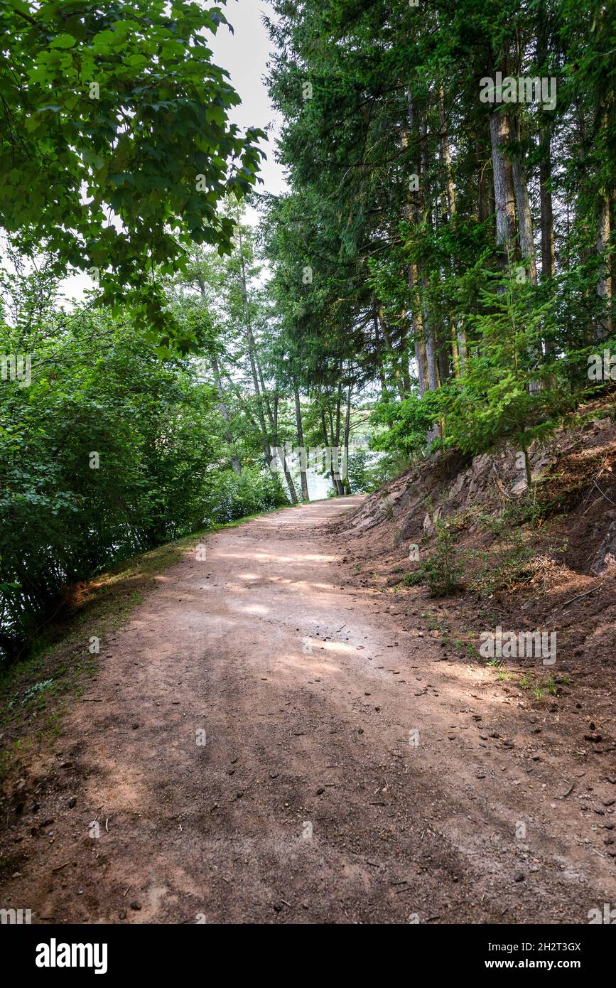 Promenade, Sentiers, activités au Lac des Sapins, Cublize Foto Stock
