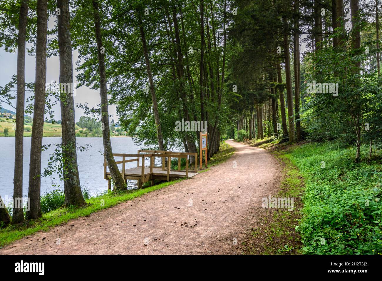 Promenade, Sentiers, activités au Lac des Sapins, Cublize Foto Stock