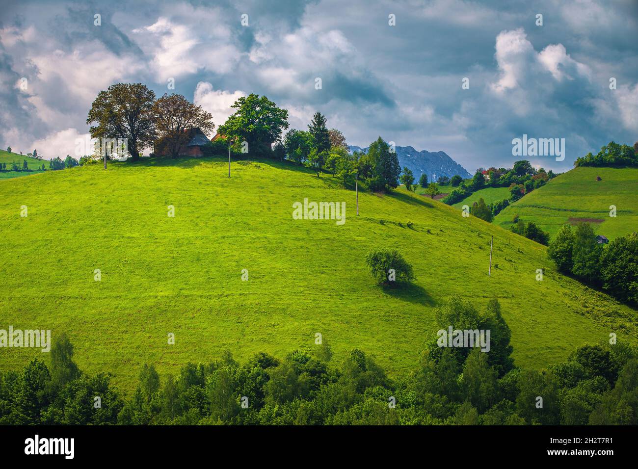 Bellissimo paesaggio di campagna con campi verdi e casa in cima alla collina, Holbav, Transilvania, Romania, Europa Foto Stock
