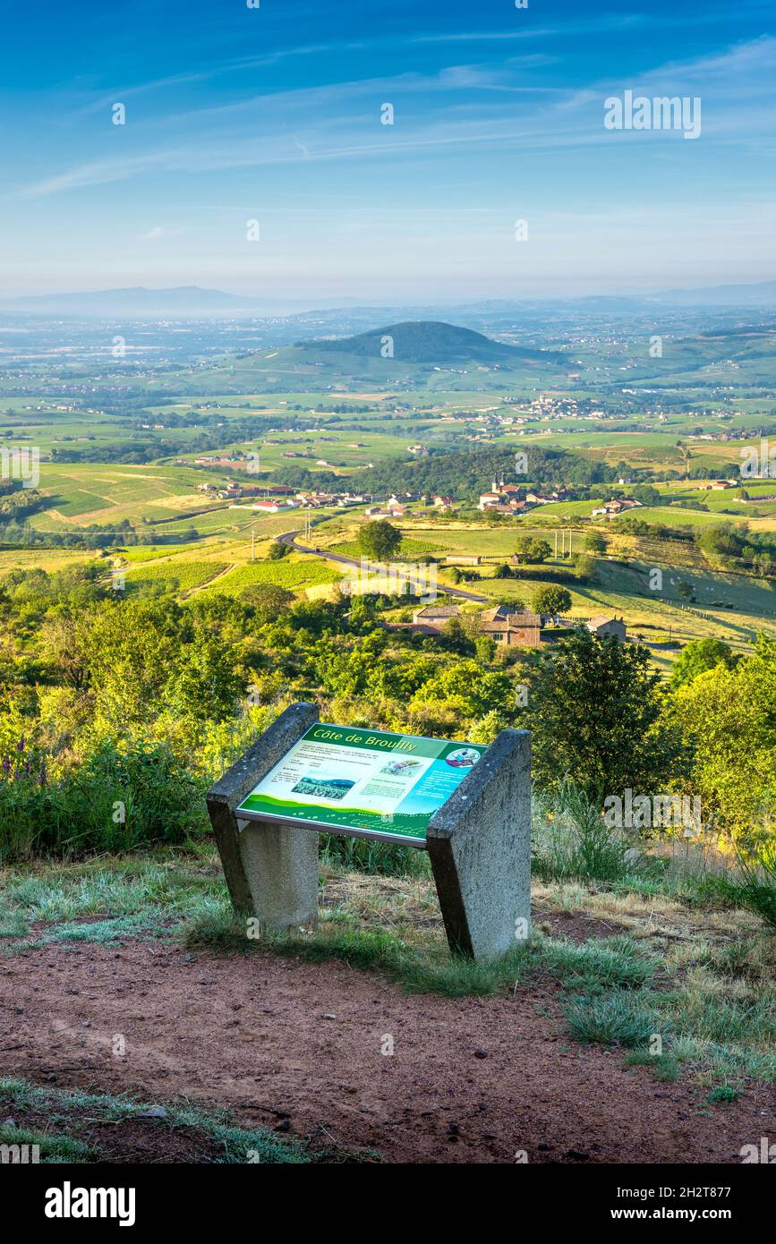 Le Mont Brouilly et le Beaujolais, vue depuis la terrasse de Chiroubles Foto Stock