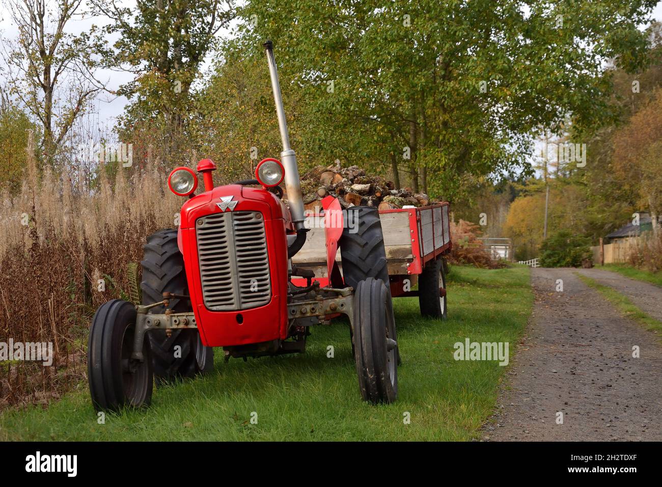 Un vecchio trattore rosso Massey Ferguson parcheggiato su una pista a Rosehall, Scottish Highlands, Gran Bretagna. Foto Stock