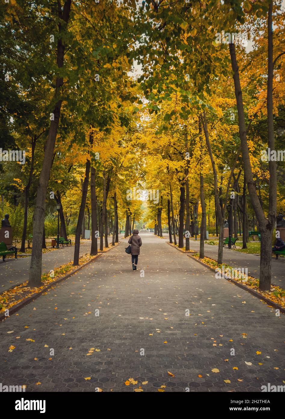 Giovane donna che cammina sul vicolo nel parco vuoto autunnale. Bella vista e silenzio, foglie colorate cadute a terra e sentieri di Stefano III Foto Stock