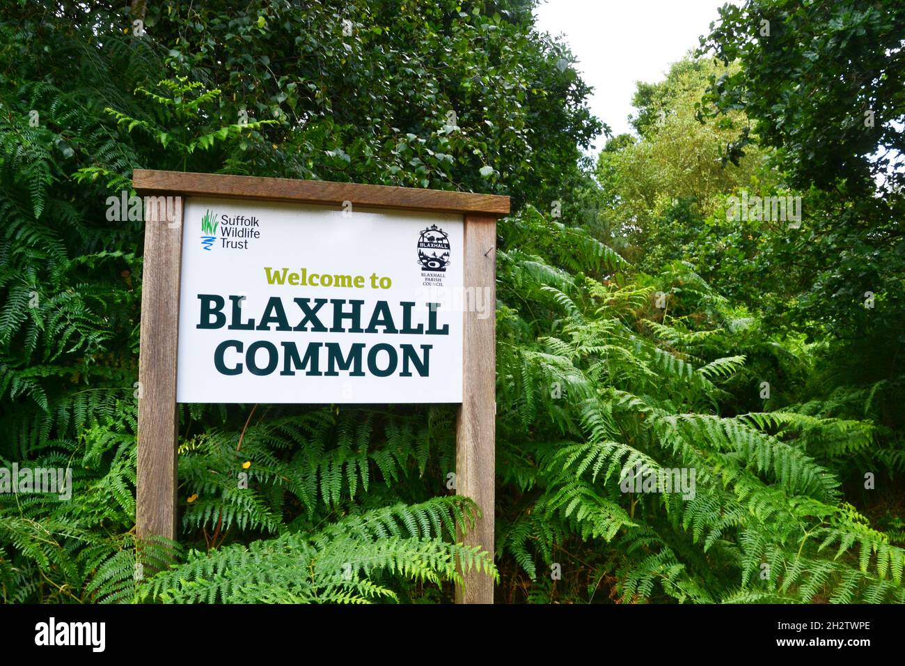 Blaxhall Common Nature Reserve, Suffolk, Inghilterra, Regno Unito Foto Stock