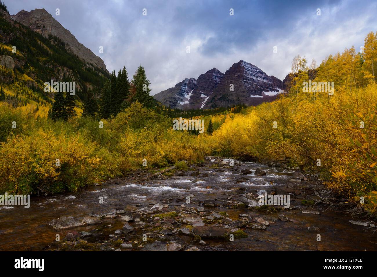 Colore di caduta della foresta di aspen con cielo blu a Maroon Bells, Colorado. Foto Stock
