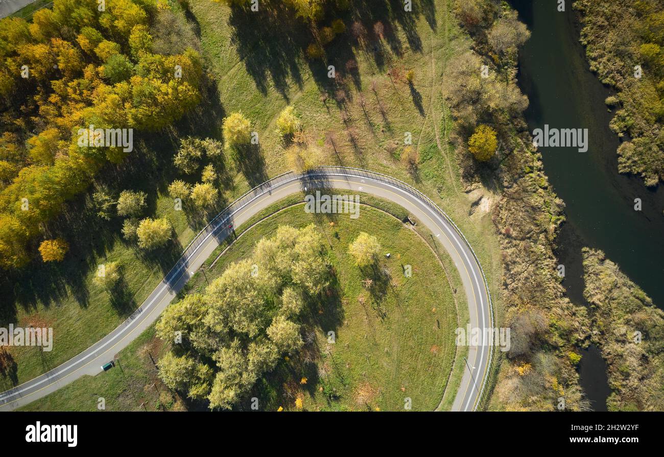 Veduta aerea della strada nella foresta. Percorso ciclabile nel parco. Foto Stock
