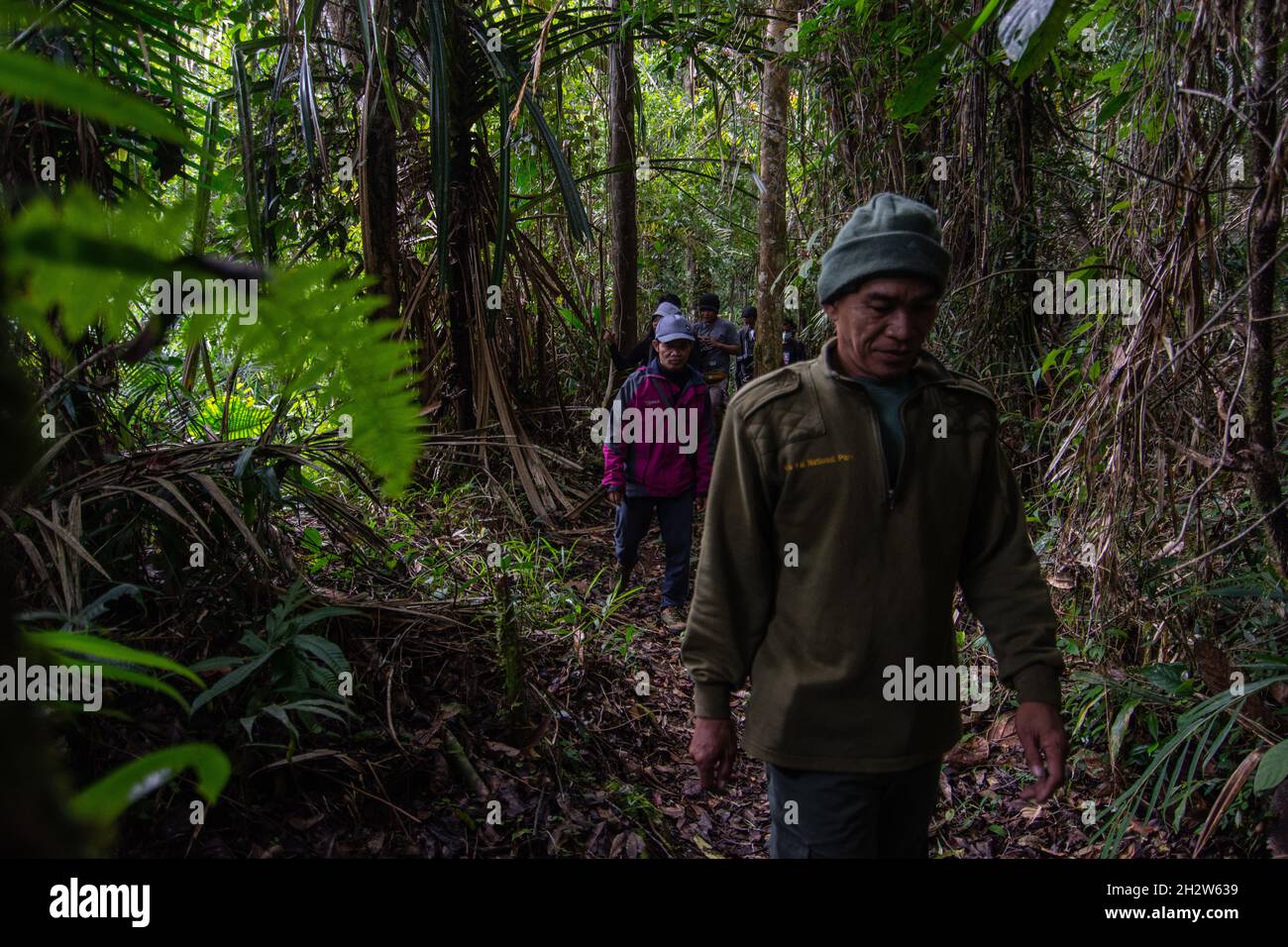 Poso, Sulawesi centrale, Indonesia. 24 ottobre 2021. Lore Lindu National Park Hall ha riaperto l'area turistica naturale del lago Tambing a Sedoa Village, Poso Regency, Sulawesi Centrale. L'area, designata dall'UNESCO come Sito Patrimonio Mondiale dell'Umanita', e' stata precedentemente completamente chiusa dal Novembre 2020 ai visitatori a causa dell'alto numero di casi di Covid-19 e dell'operazione di forze di sicurezza appartenenti alla task force madago raya che persegue il gruppo terroristico mujahideen ad est dell'Indonesia. (Credit Image: © Adi PranataZUMA Wire) Foto Stock