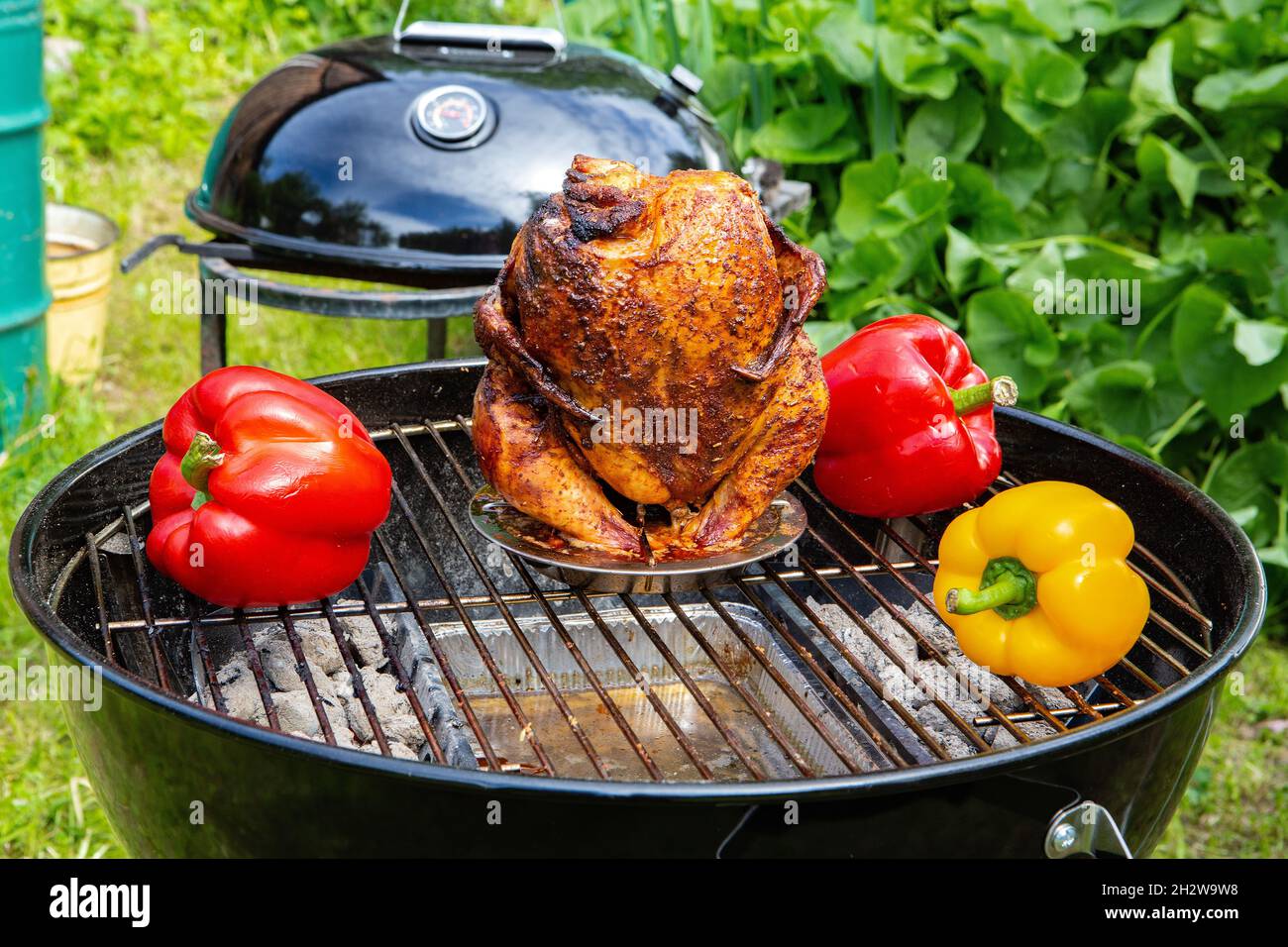 Carcassa di pollo e verdure cotte e affumicate su una griglia a carbone Foto Stock