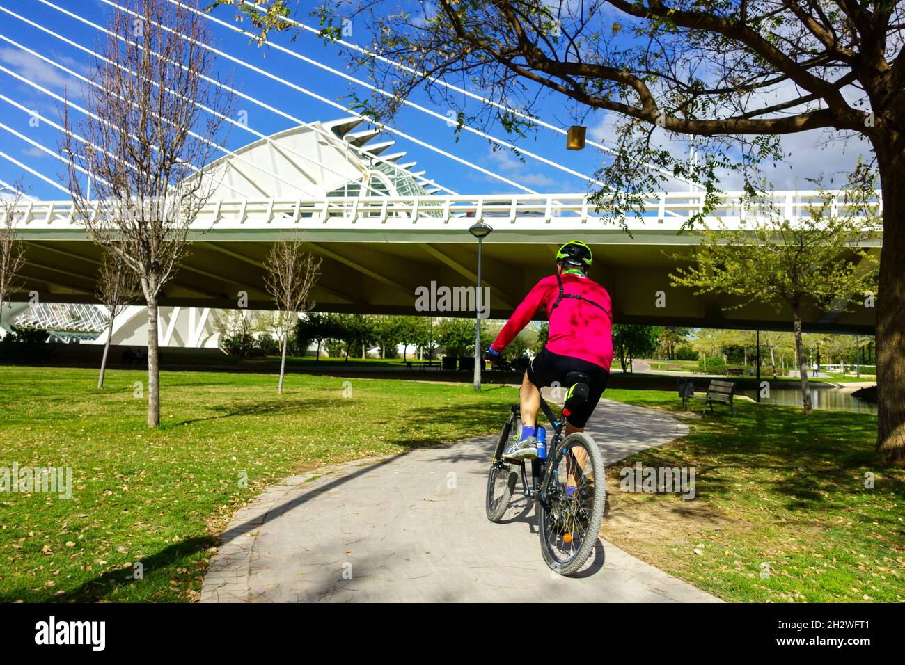 Pista ciclabile Spagna Valencia città delle Arti e delle Scienze, un uomo in bicicletta in una moderna pista ciclabile della città europea sotto il ponte Assut de l'Or Foto Stock