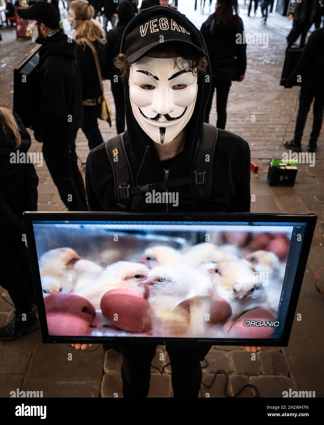 Membro dell'organizzazione globale per i diritti degli animali Anonymous for the voiceless durante un evento di copertura Cube of Truth su Market Street a Manchester. I membri dispongono di schermi che mostrano "filmati di pratica standard" provenienti dall'agricoltura animale, mentre altri partecipanti sono a disposizione per interagire con i membri del pubblico in conversazione. Data foto: Domenica 24 ottobre 2021. Foto Stock