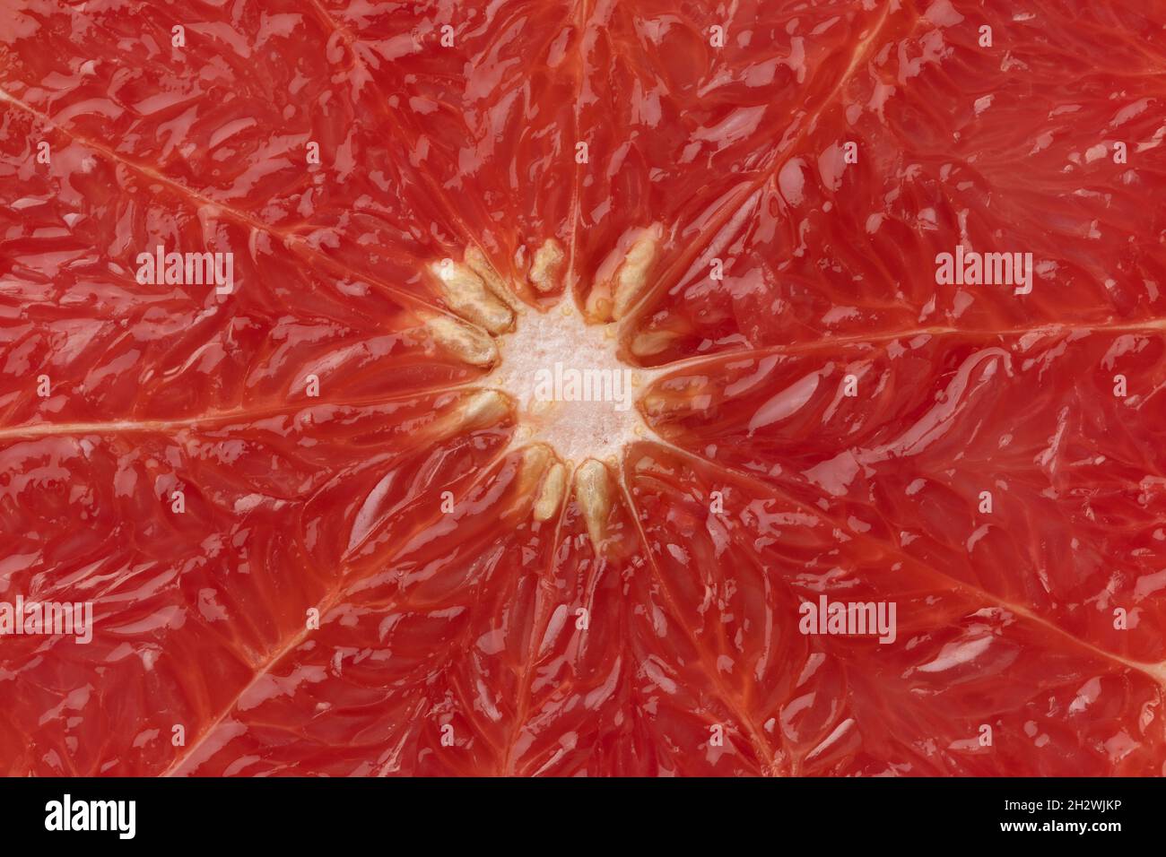 La carne di frutta di pompelmo rosso si avvicina alla cornice completa come sfondo Foto Stock