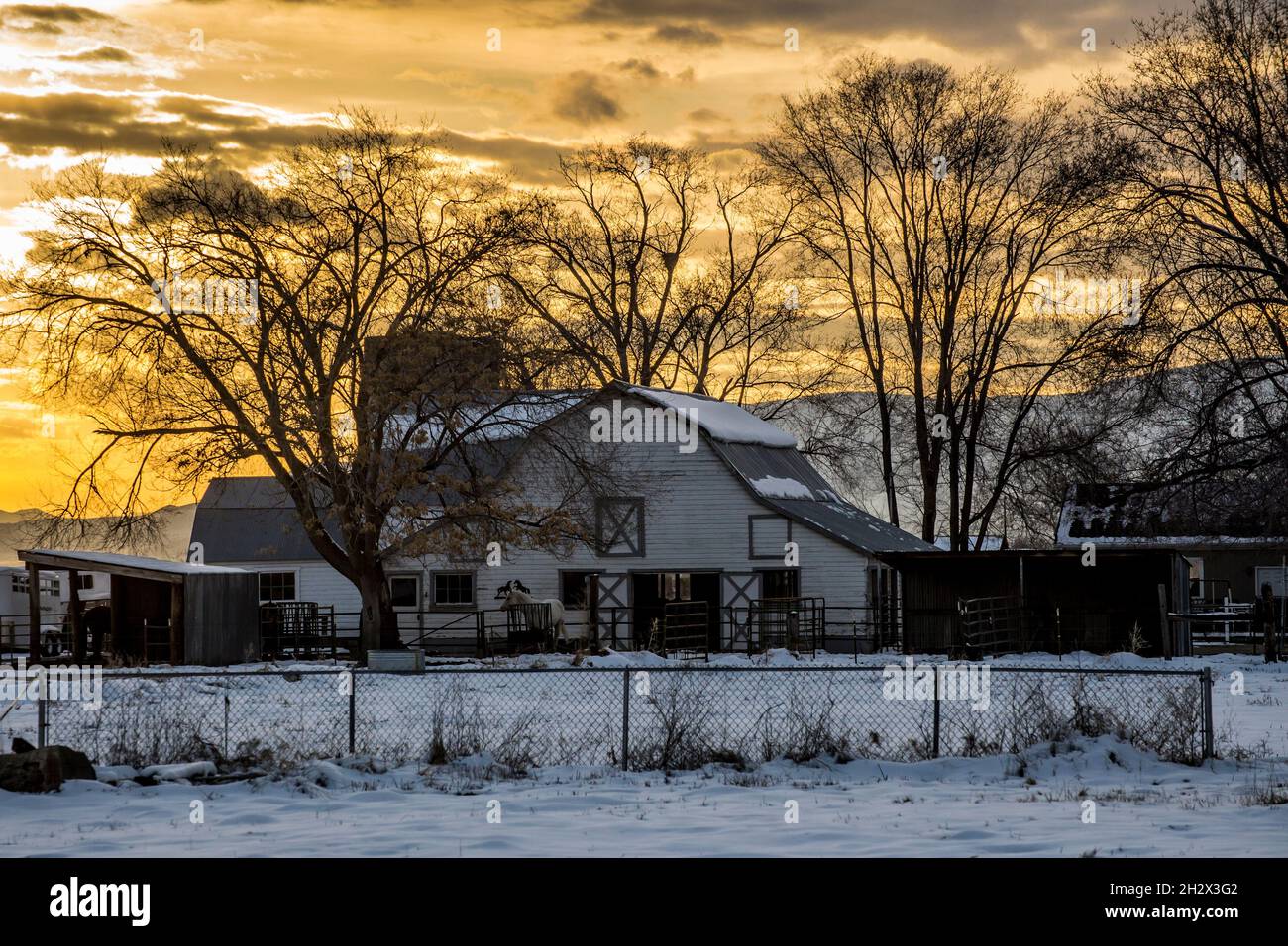 Inverno Barn al tramonto - Provo - Utah Foto Stock