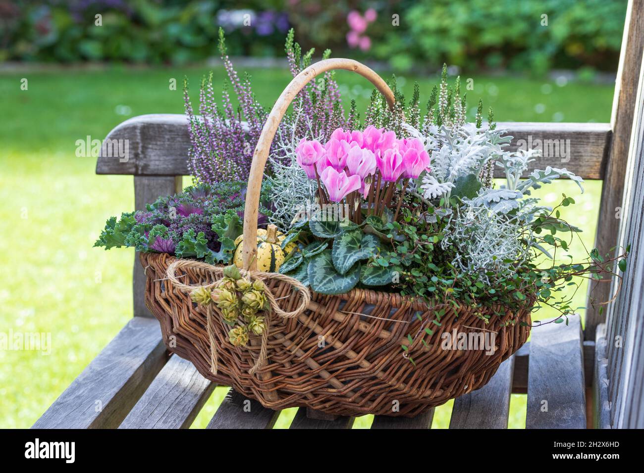 fiori d'autunno in cestino come decorazione floreale giardino Foto Stock