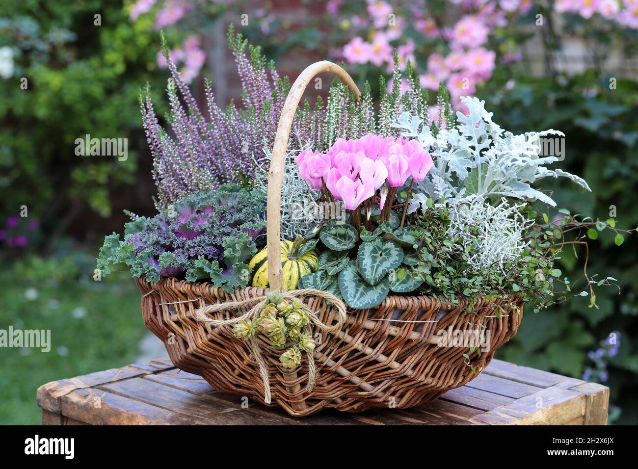 fiori d'autunno in cestino come decorazione floreale giardino Foto Stock